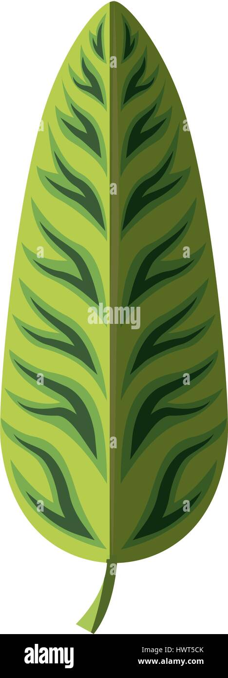 tropical leafs decorative icon Stock Vector Image & Art - Alamy