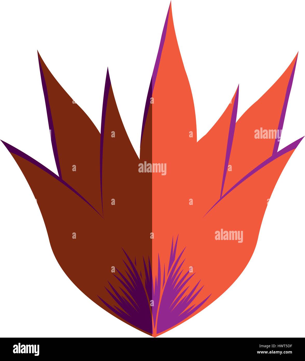 exotic and tropical flower icon Stock Vector Image & Art - Alamy