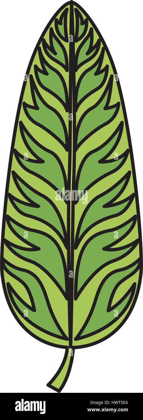 tropical leafs decorative icon Stock Vector Image & Art - Alamy