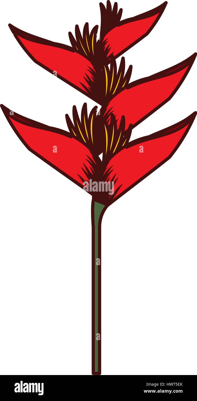 exotic and tropical flower icon Stock Vector Image & Art - Alamy