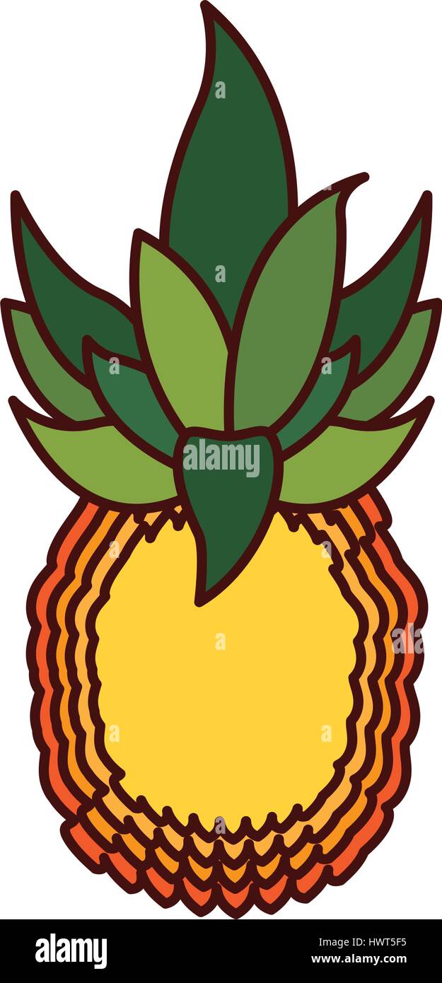 pineapple exotic fruit icon Stock Vector Image & Art - Alamy