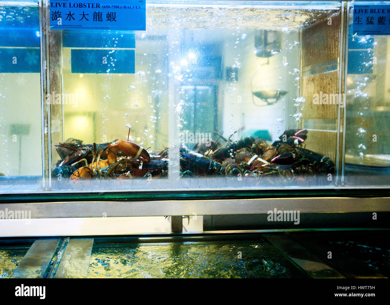 lobsters alive in restaurant fish tank china town London Stock Photo
