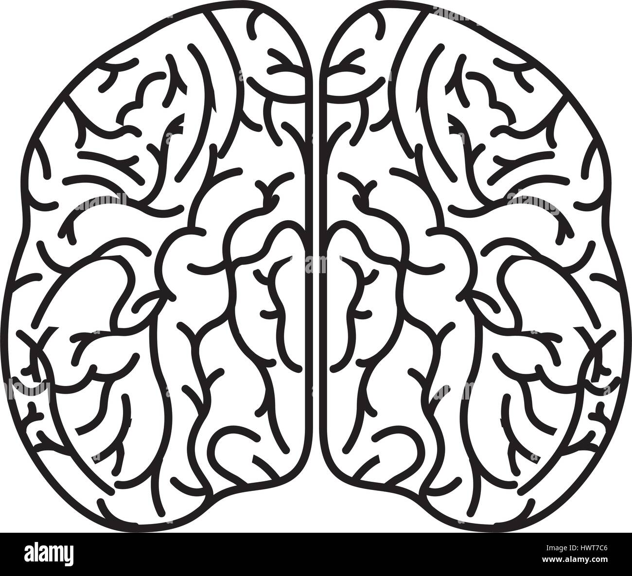 brain organ human icon Stock Vector Image & Art - Alamy