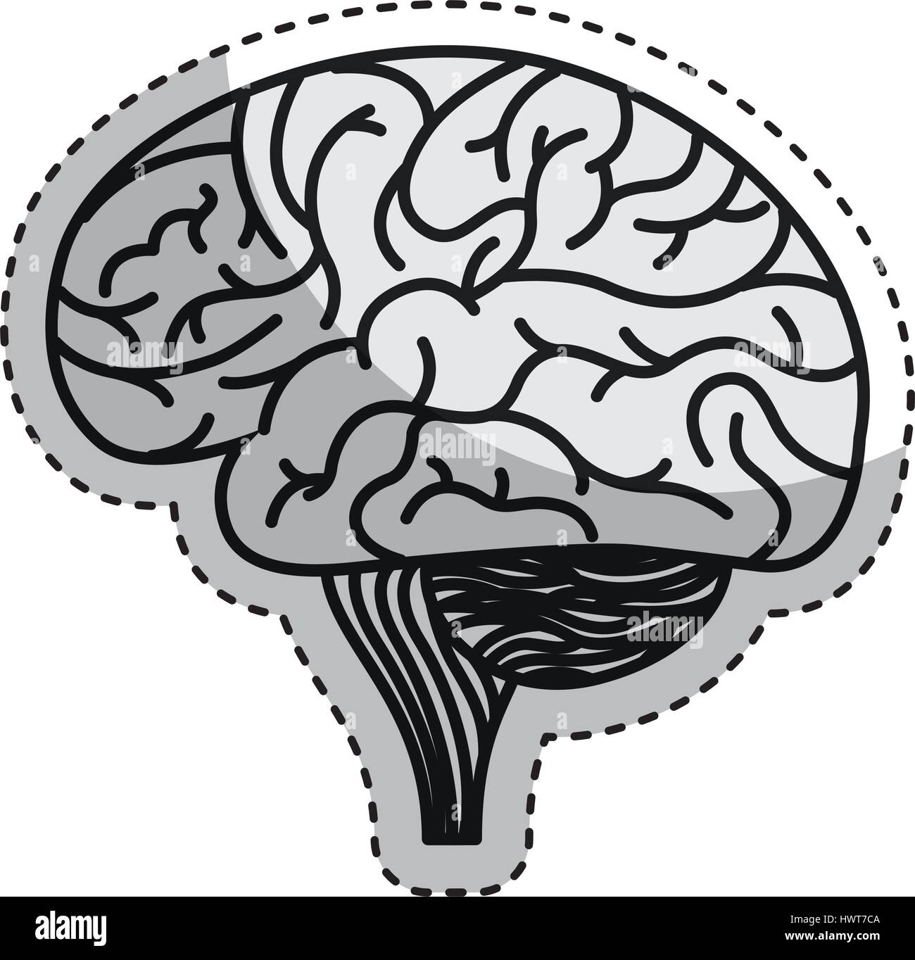 brain organ human icon Stock Vector Image & Art - Alamy