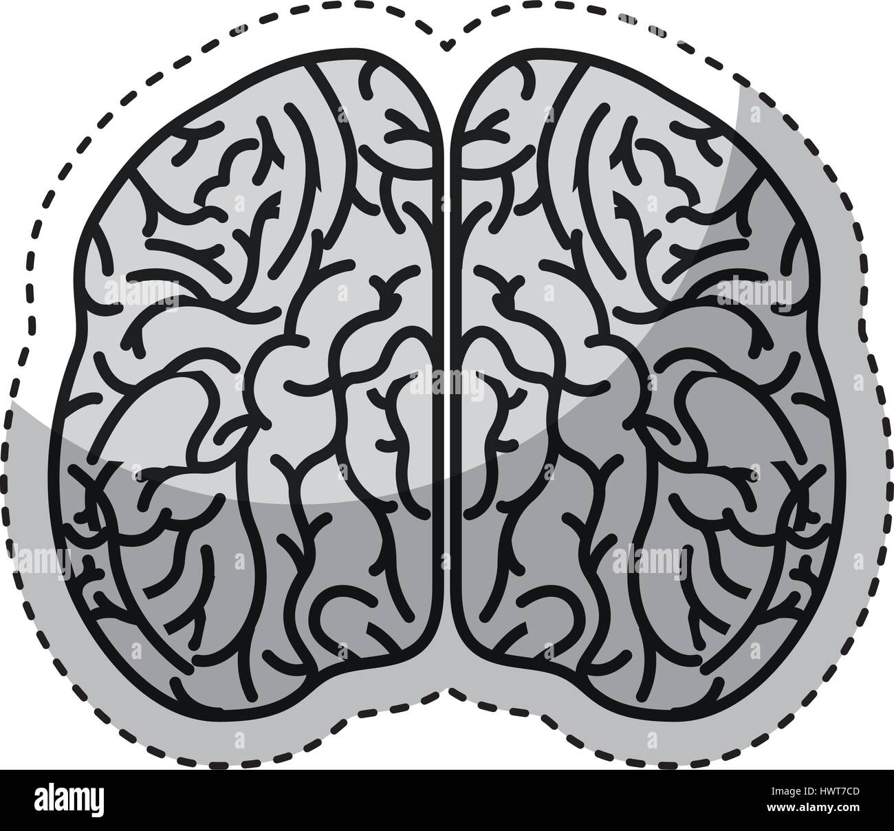 brain organ human icon Stock Vector Image & Art - Alamy