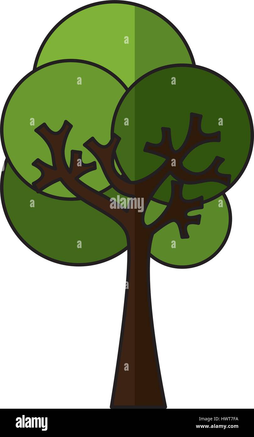 tree plant ecological icon Stock Vector Image & Art - Alamy