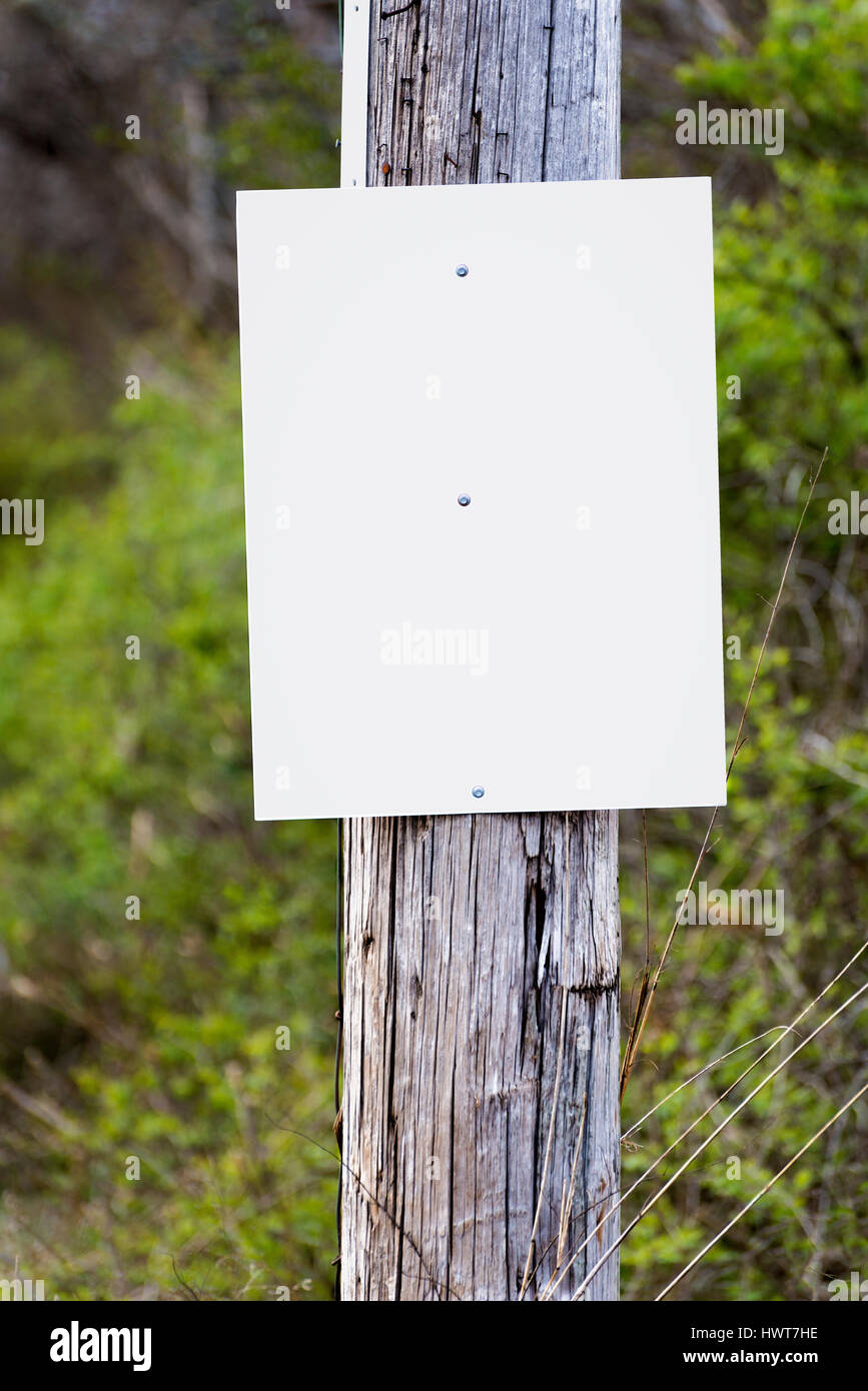 A blank sign on a telephone pole awaits your announcement, ad or