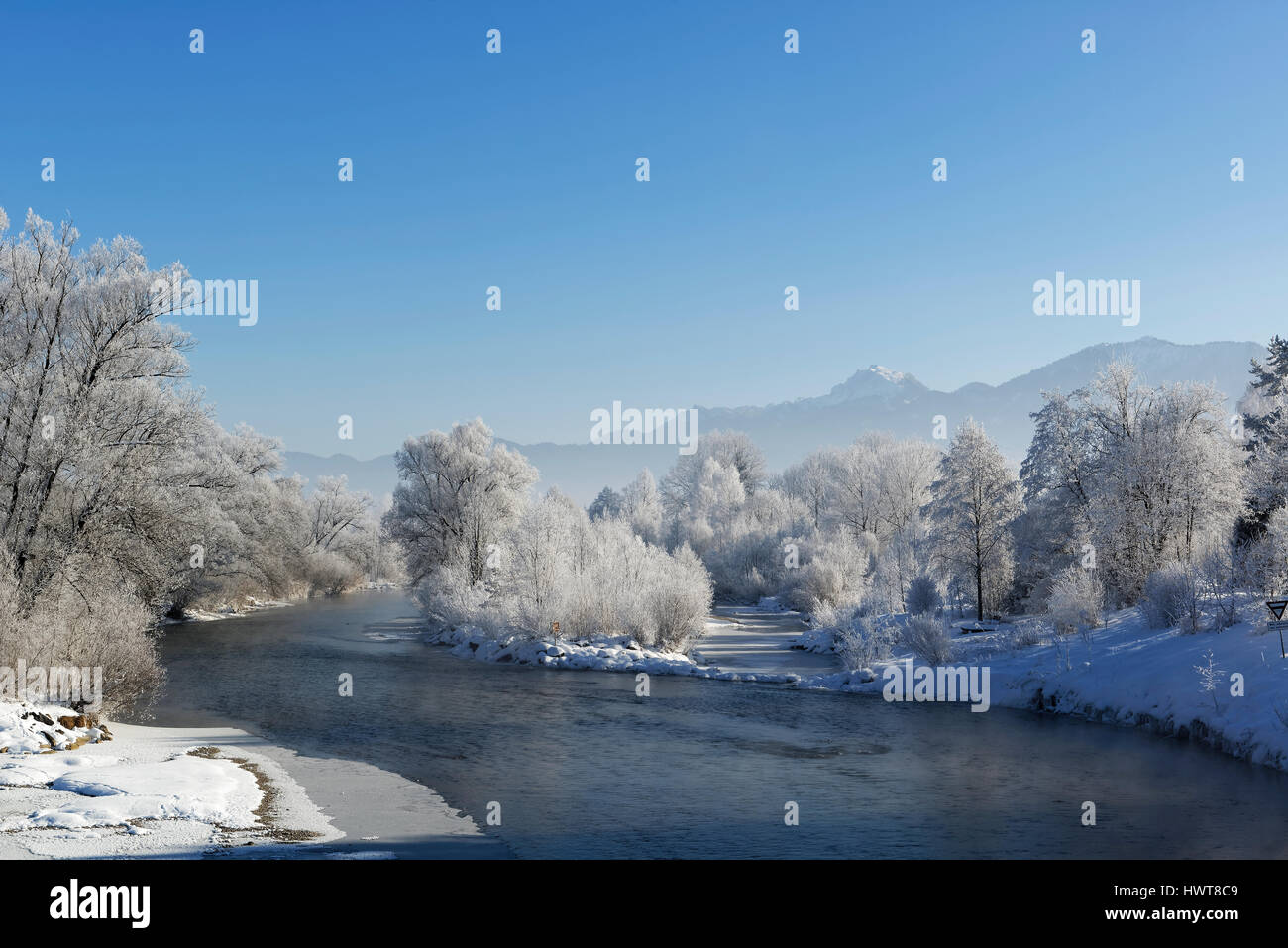Trees with hoarfrost on the river Loisach, Großweil municipality, Loisachtal, Upper Bavaria, Bavaria, Germany Stock Photo