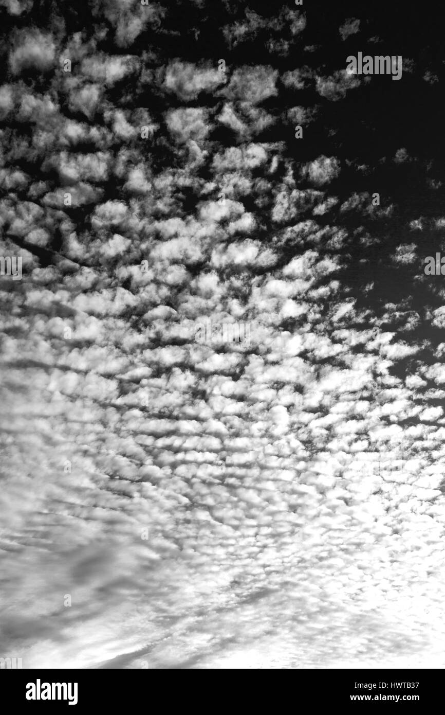 sky-and-empty-space-in-oman-the-fluffy-cloudy-stock-photo-alamy