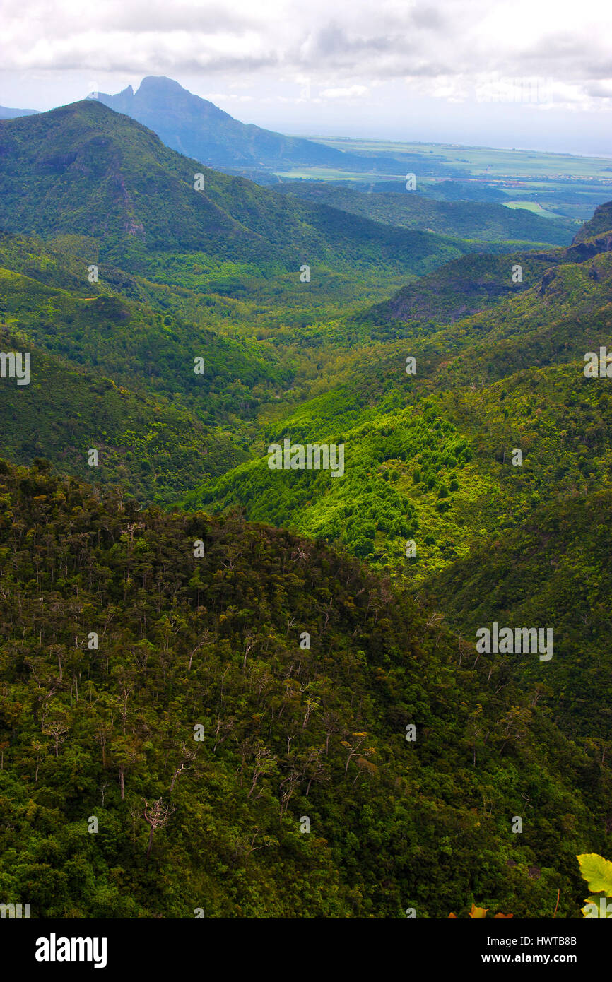 black river mountain in mauritius africa water fall gran riviere Stock
