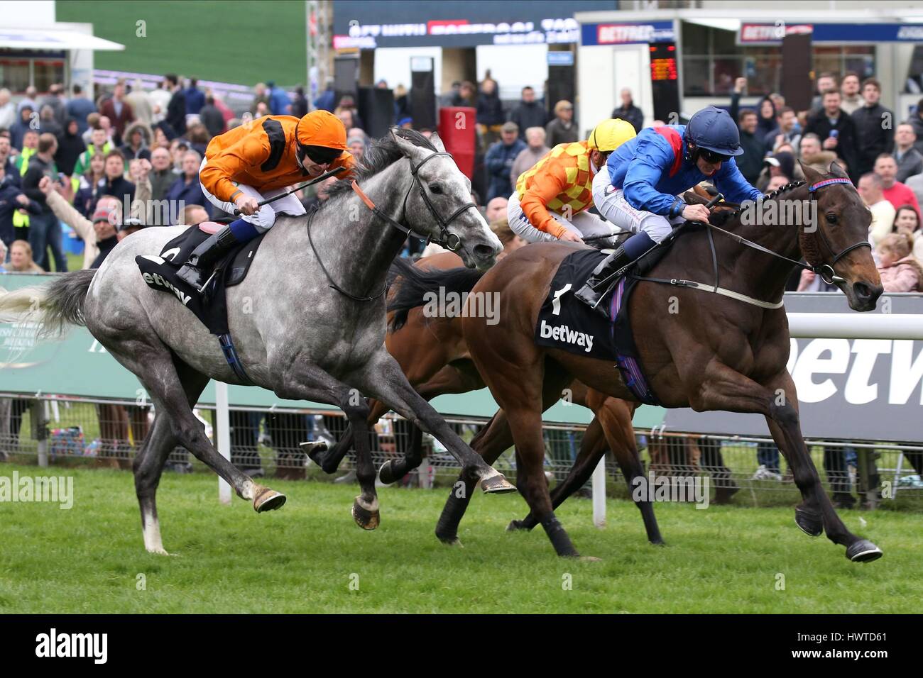 CLEVER COOKIE WINS AHEAD OF CU BETWAY YORKSHIRE BETWAY YORKSHIRE CUP YORK RACECOURSE YORK ENGLAND 13 May 2016 Stock Photo