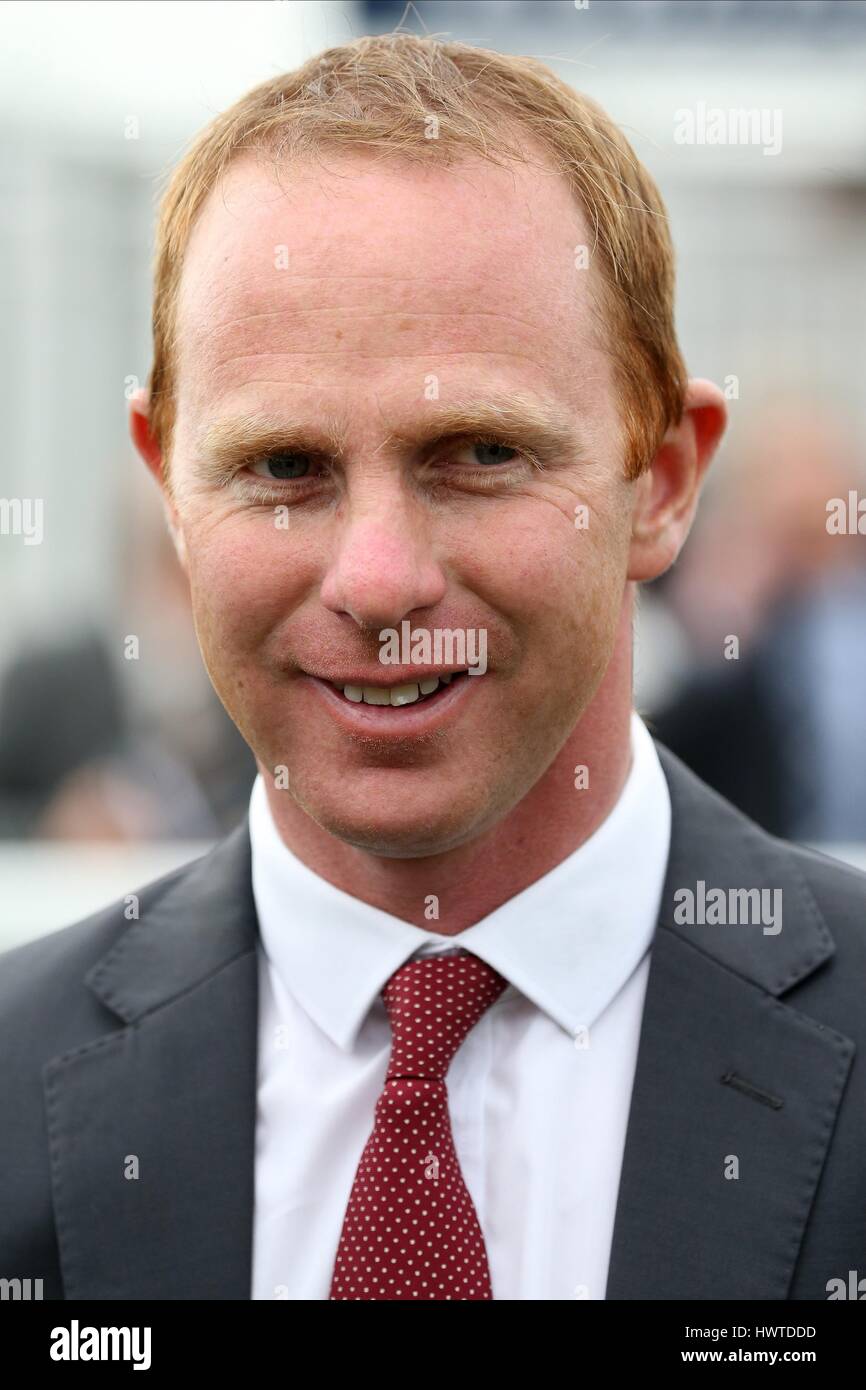 DAVID O'MEARA RACE HORSE TRAINER RACE HORSE TRAINER YORK RACECOURSE