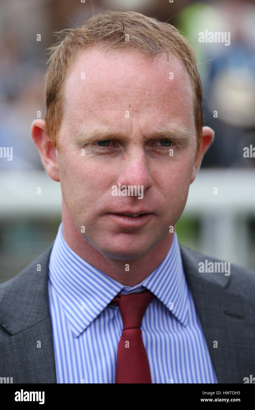 DAVID O'MEARA RACE HORSE TRAINER RACE HORSE TRAINER YORK RACECOURSE