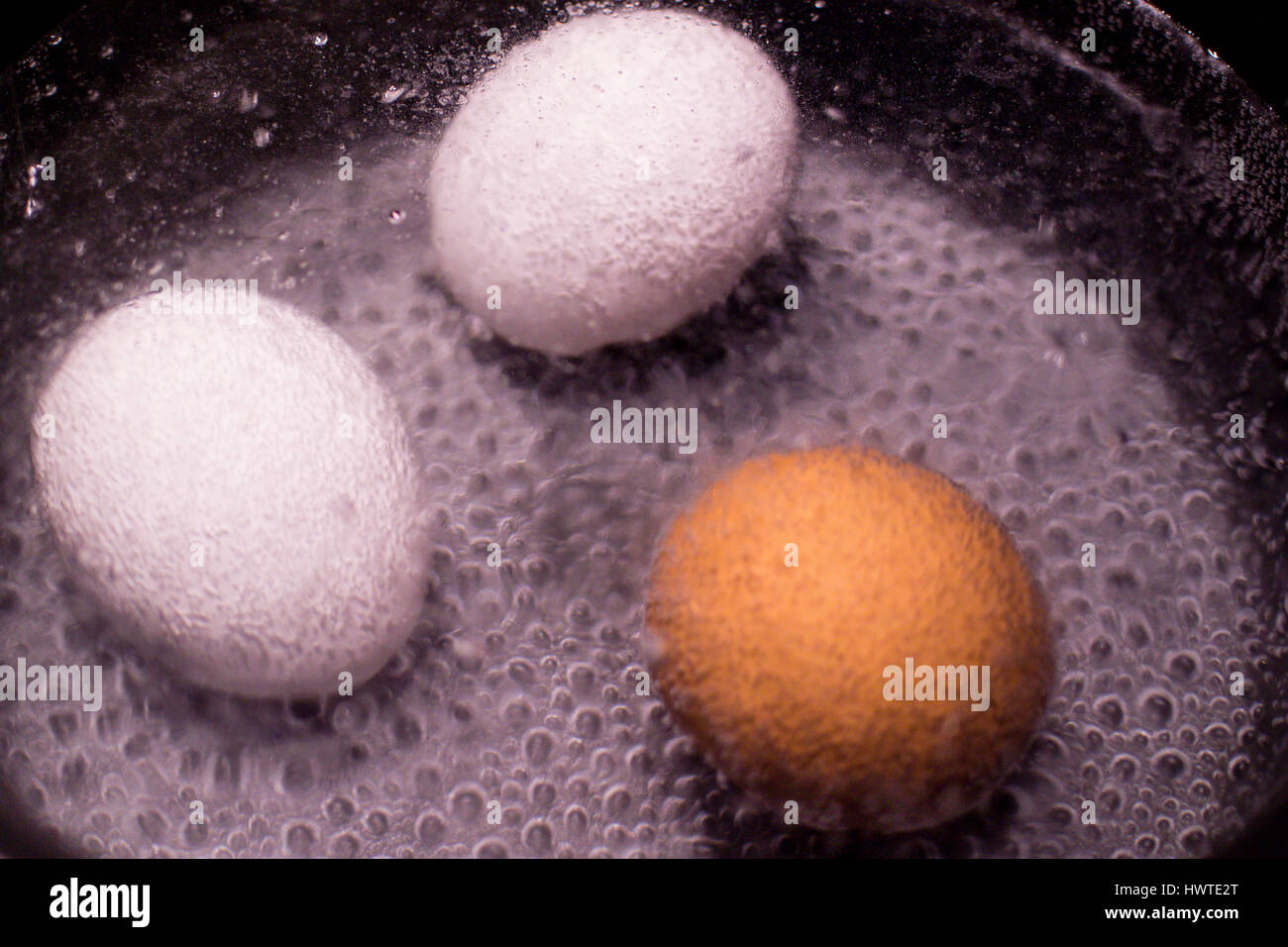 Two white and one brown egg in pan of boiling water Stock Photo