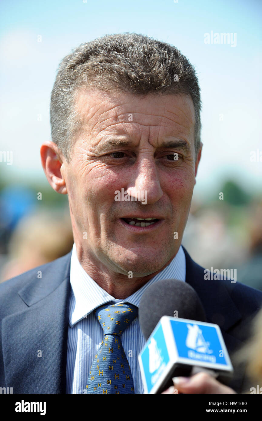 KEVIN RYAN RACE HORSE TRAINER RACE HORSE TRAINER YORK RACECOURSE YORK
