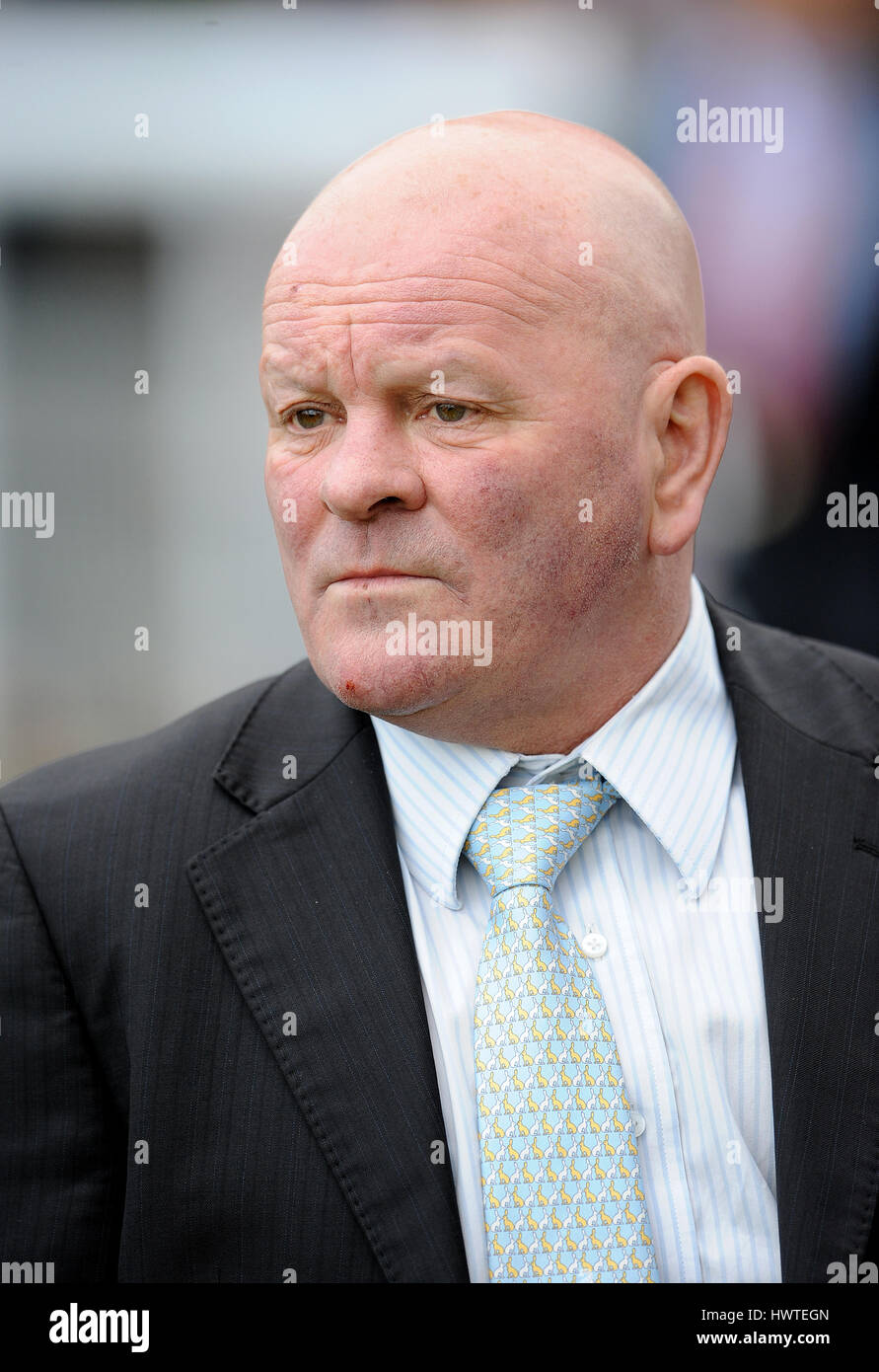 DAVID NICHOLLS RACE HORSE TRAINER RACE HORSE TRAINER YORK RACECOURSE