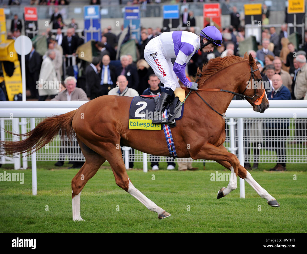 CROWDED HOUSE RIDDEN BY JAMIE SPENCER YORK RACECOURSE YORK ENGLAND 14