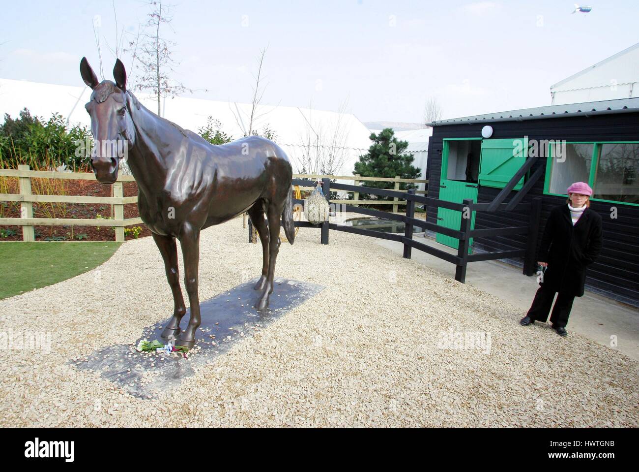 Best mate horse hires stock photography and images Alamy