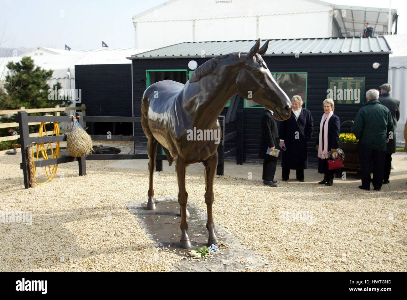 Best mate statue cheltenham racecourse hires stock photography and