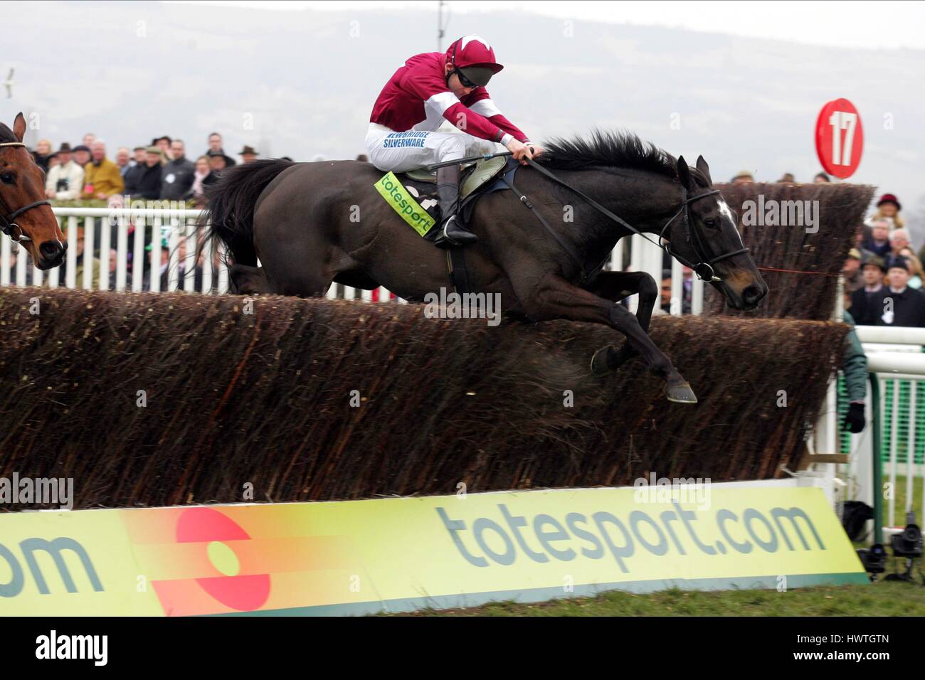 War of attrition horse hi res stock photography and images alamy