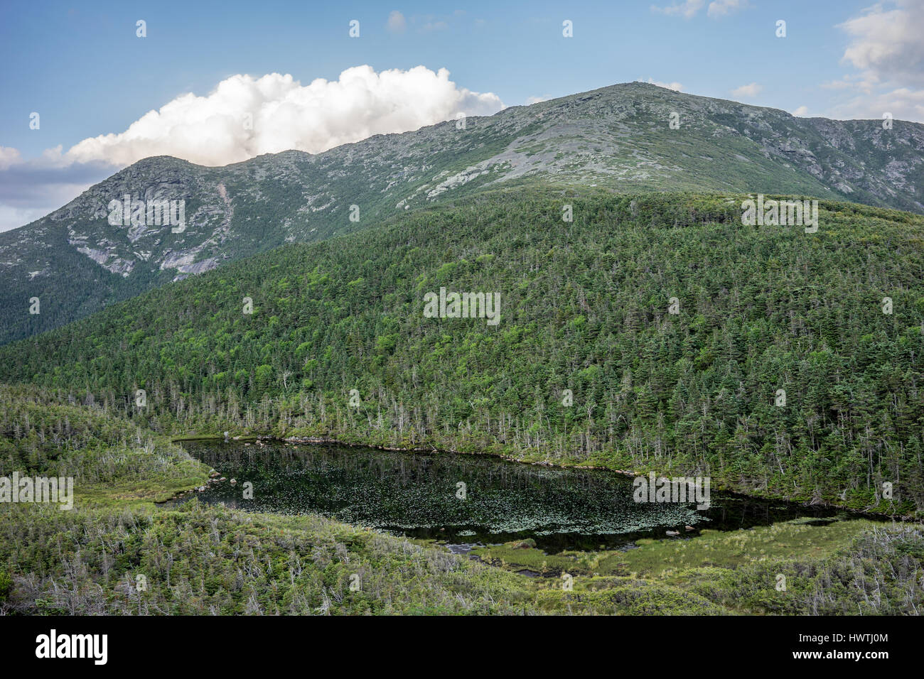 Glacial Lake with tree line in the background on Franconia Ridge in New Hampshire during tranquil weather. Stock Photo