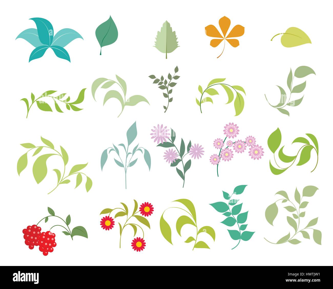 vector illustration of a floral elements set Stock Vector Image & Art ...