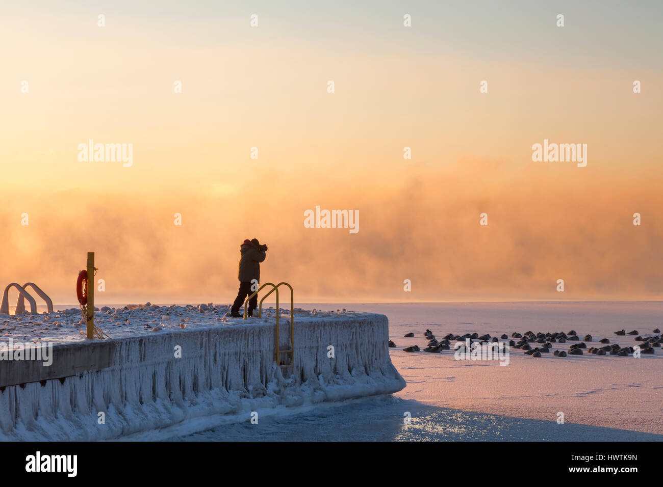 A man standing on a pier at sunrise photographing Branta canadensis (Canada Geese) on a very cold morning. Oakvile, Ontario, Canada. Stock Photo