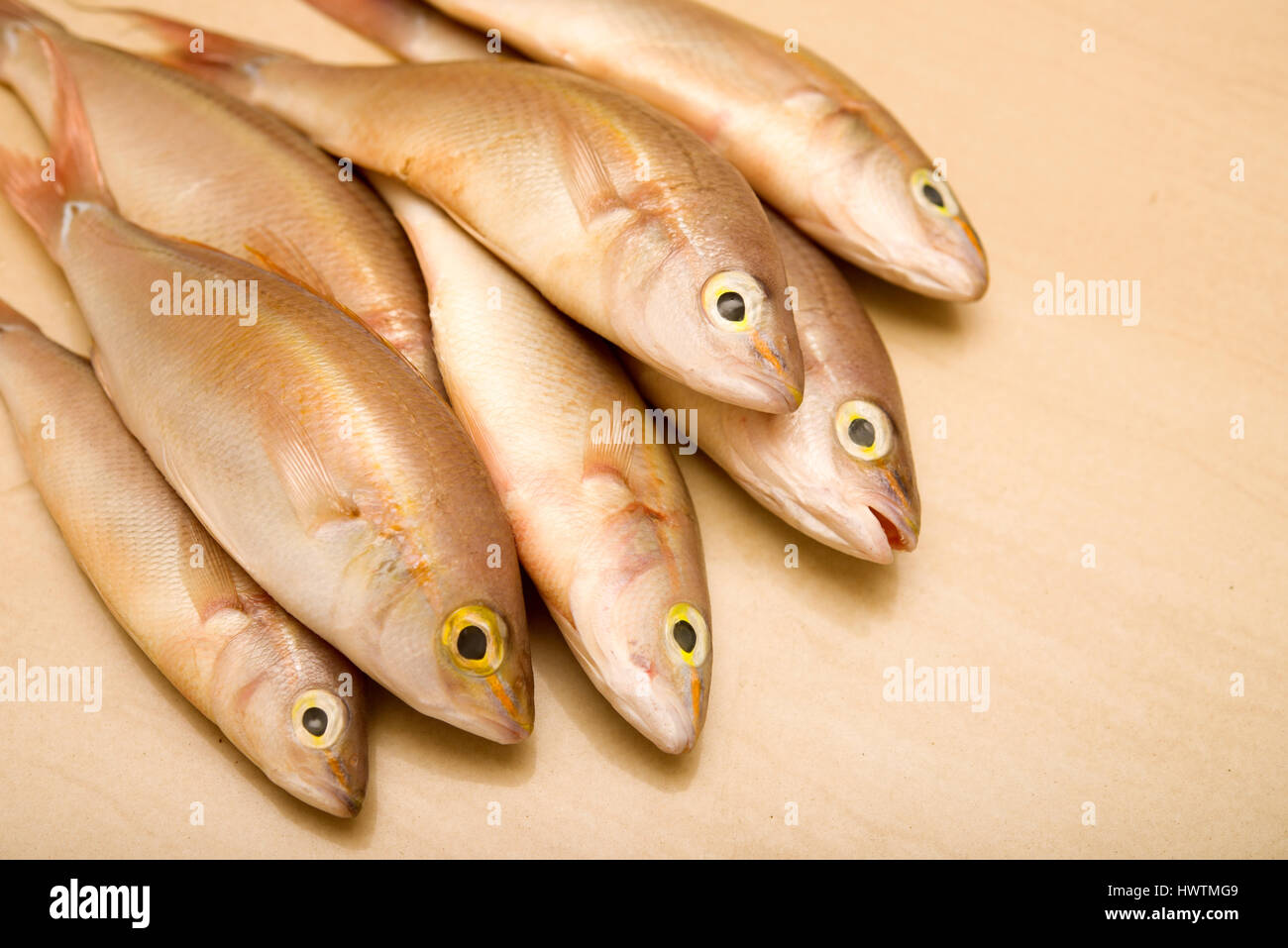 Freshwater bream hi-res stock photography and images - Page 16 - Alamy