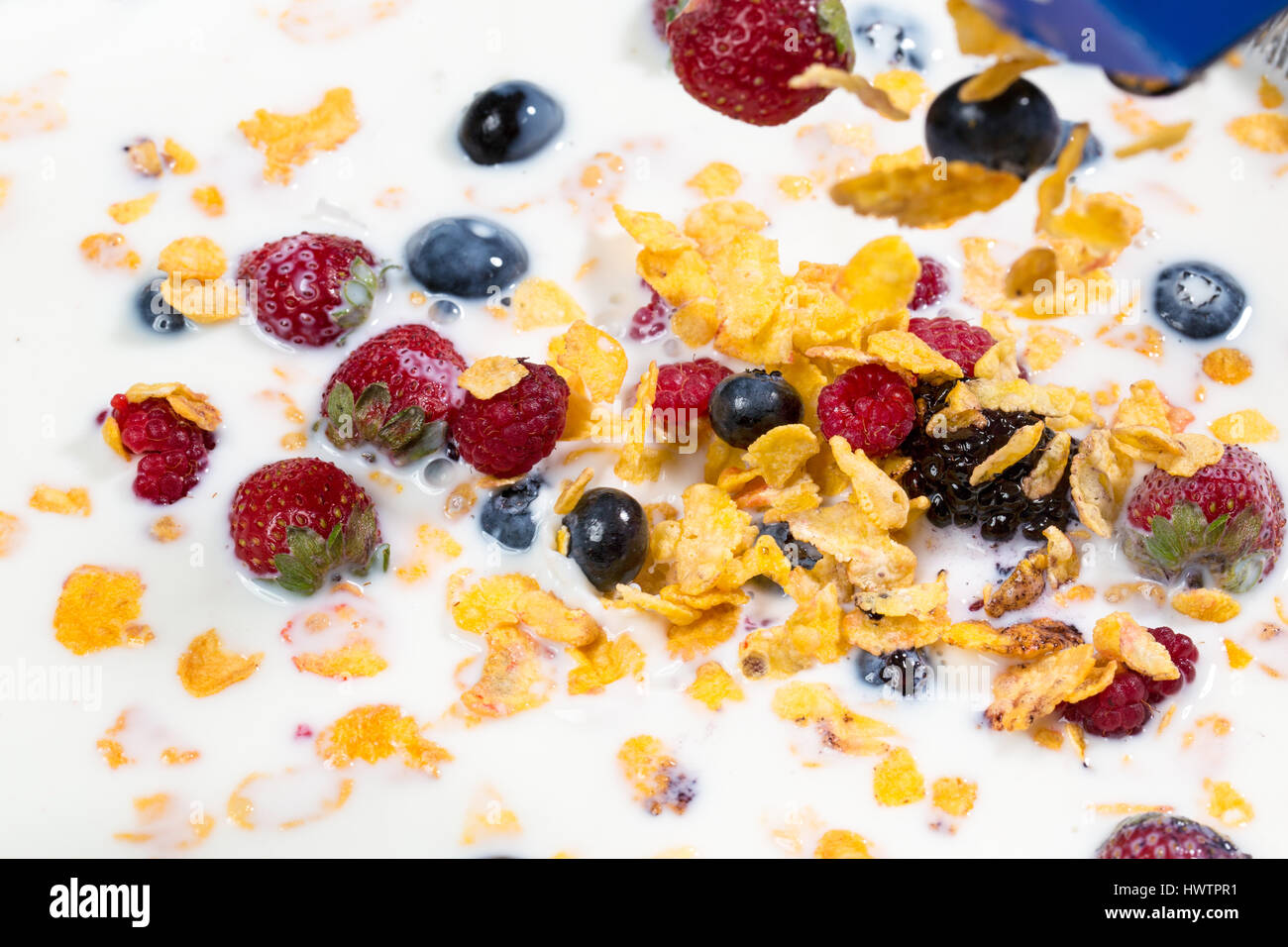 Breakfastcereals with blueberries, raspberries and strawberry close up