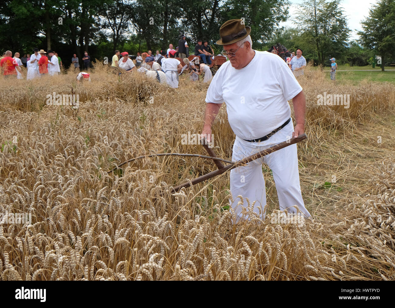 Женщина со снопом. Фермер с косой. Женщина жнет пшеницу. Уборка урожая в старину. Славянский праздник сбора урожая «спожинки».