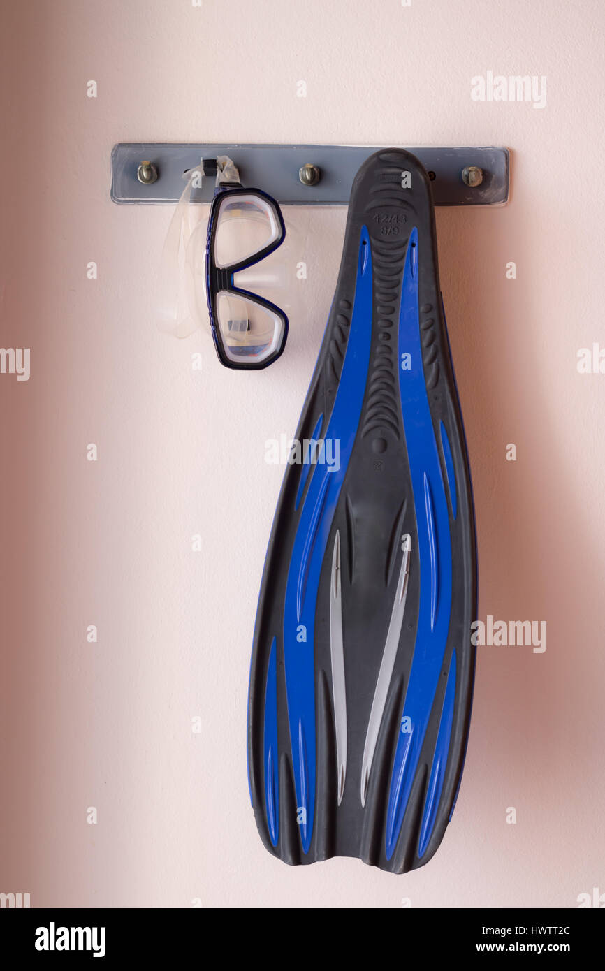 Learn about scuba diving skills Stock Photo Alamy