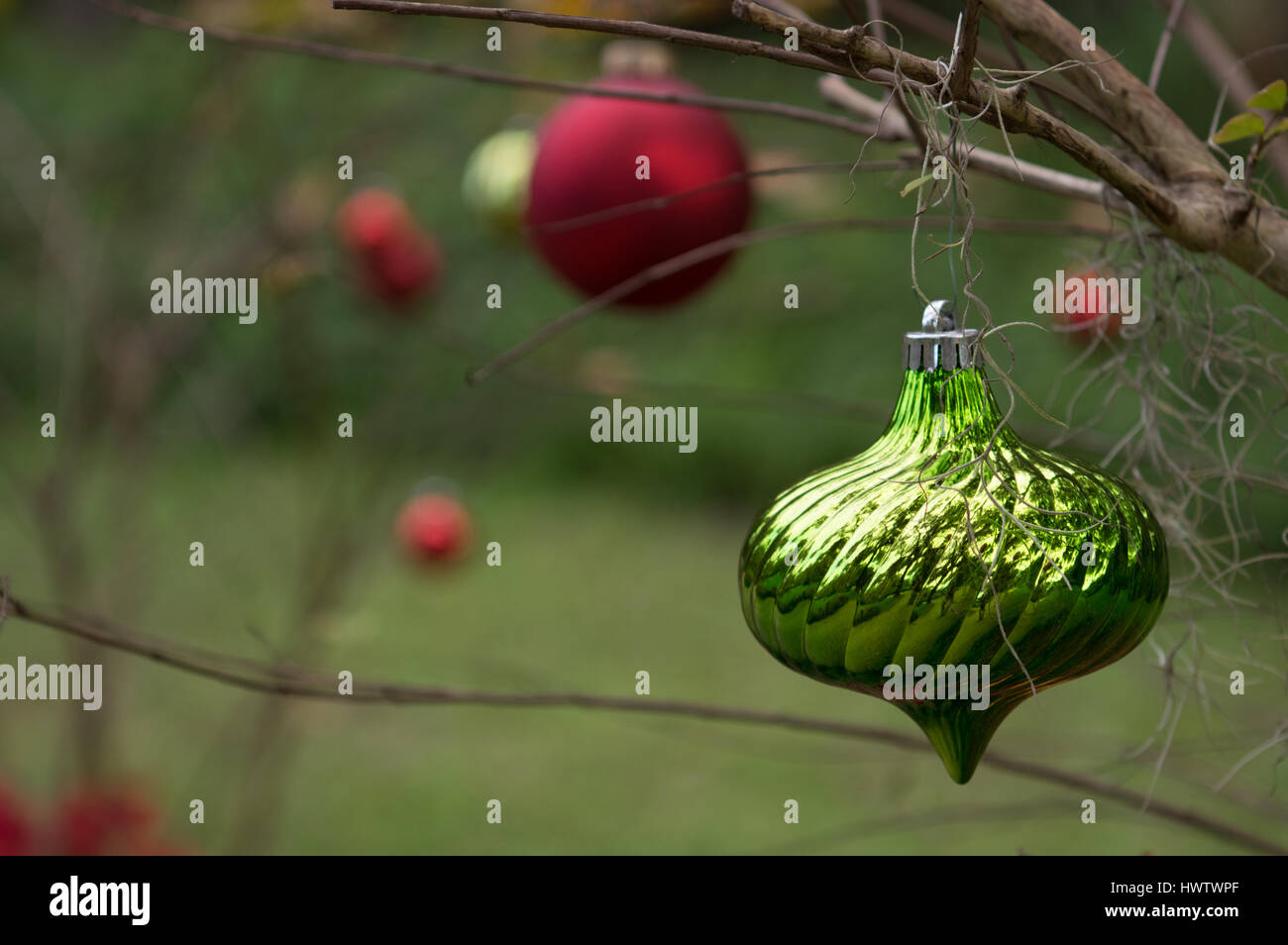Red and green Christmas ornaments adorn a small tree outdoors Stock ...