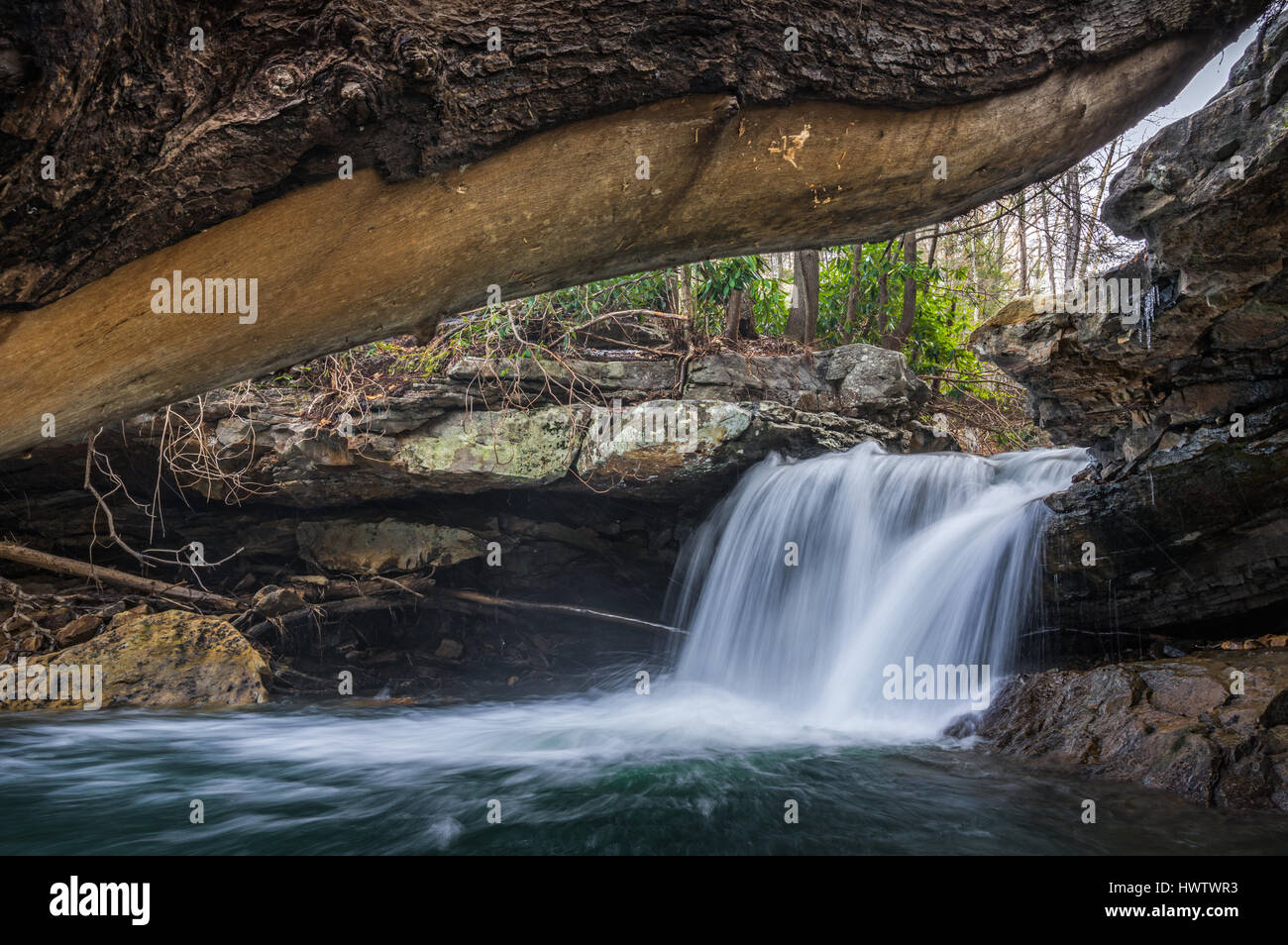 A downed tree provides the frame work for this window peering into this small waterfall on Keeney's Creek in the New River Gorge of West Virginia. Stock Photo