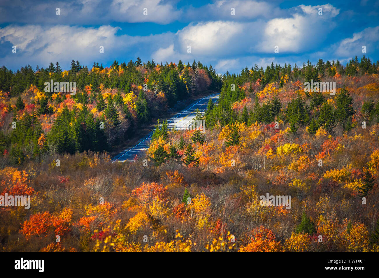Colorful Fall foliage adorns the mountains as West Virginia's scenic Highway 150 cuts through the mountain ridges. Stock Photo