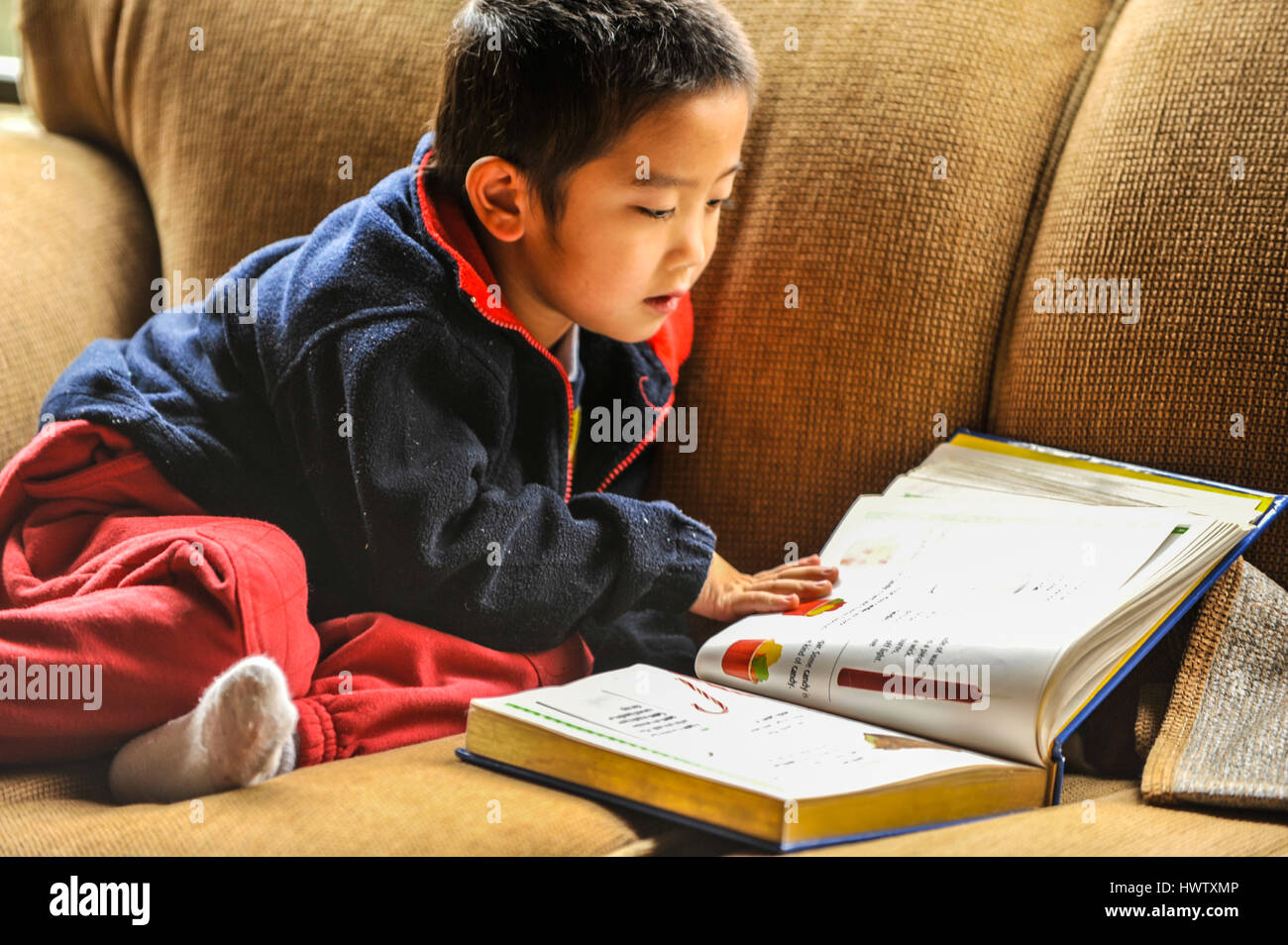 A young boy on a couch reading a big picture book.  Close up, natural light, horizontal, non-posing Stock Photo