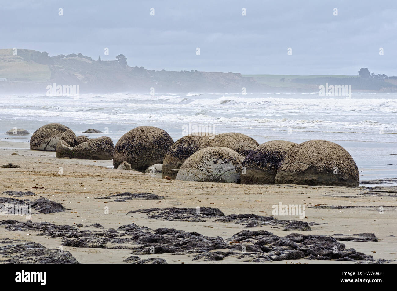 Moeraki Boulders are large, spherical boulders lying on the Koekohe ...