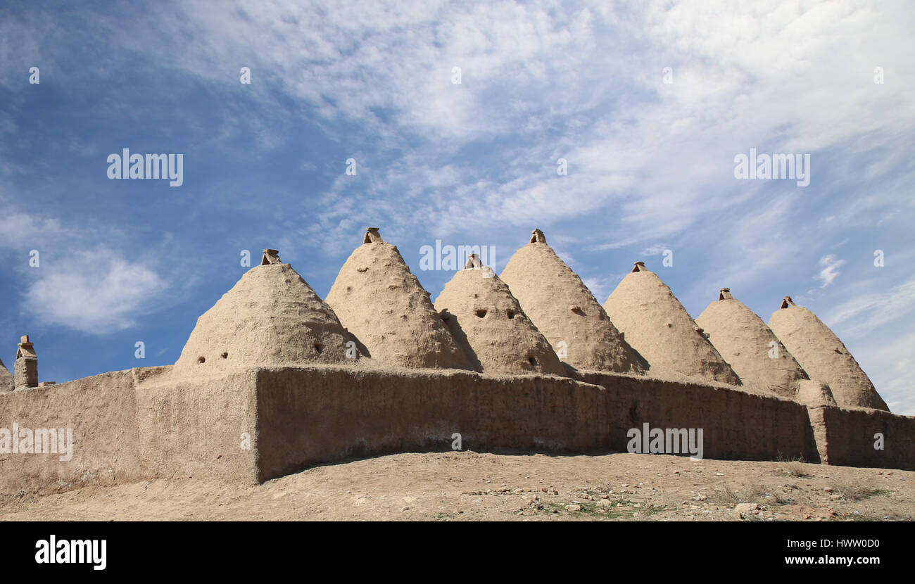 Traditional beehive mud brick desert houses,located in Harran, Urfa- Turkey. Traditional mud brick buildings topped with domed roofs and constructed f Stock Photo