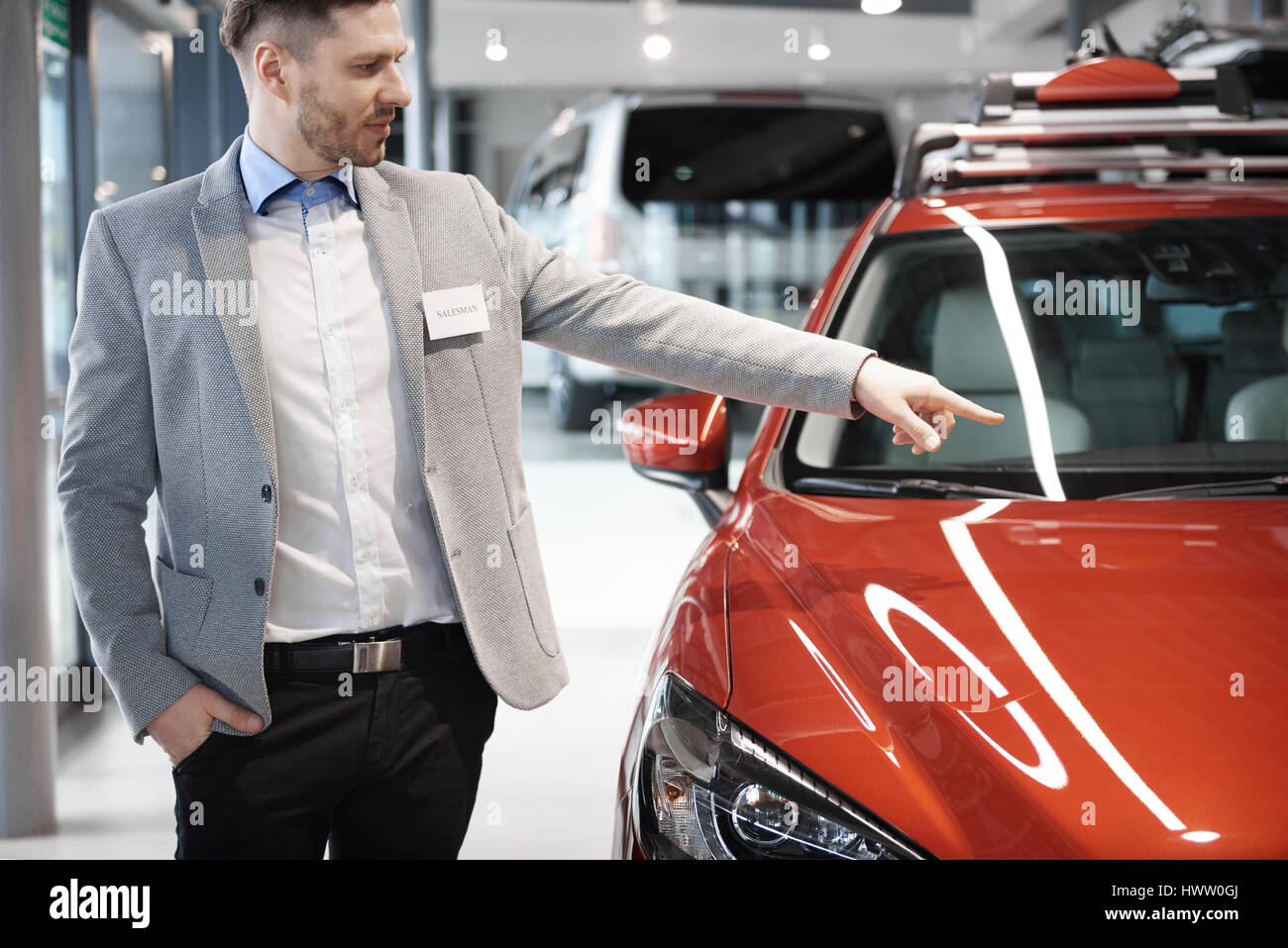 Car dealer doing great job Stock Photo Alamy