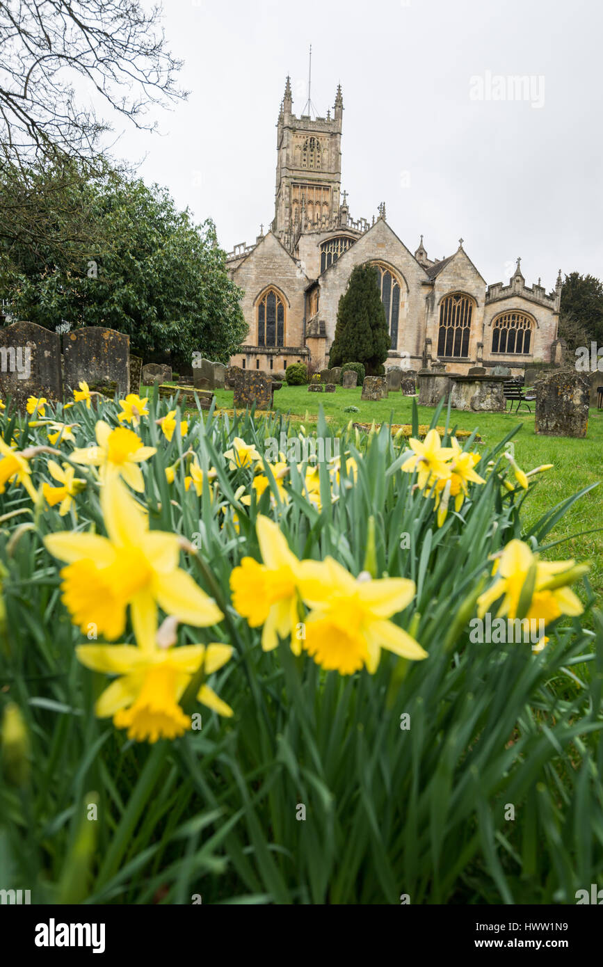 Daffodils in the graveyard of St John the Baptist parish church, Cirencester in the Cotswolds, Gloucester, England, UK Stock Photo