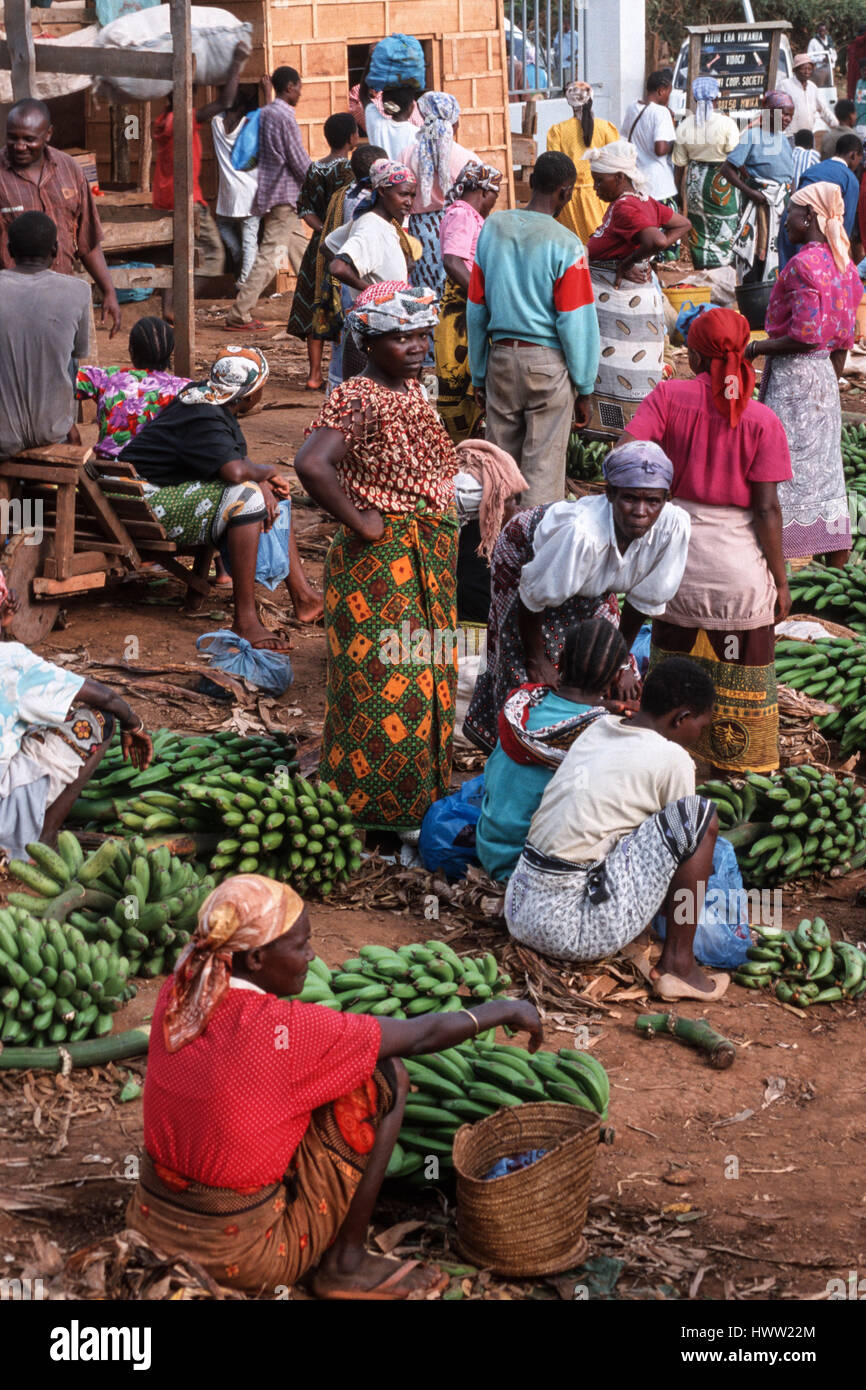 Women sell kooking bananas on a busy market in Kwasadala, Kilimanjaro Region, Tanzania Stock Photo