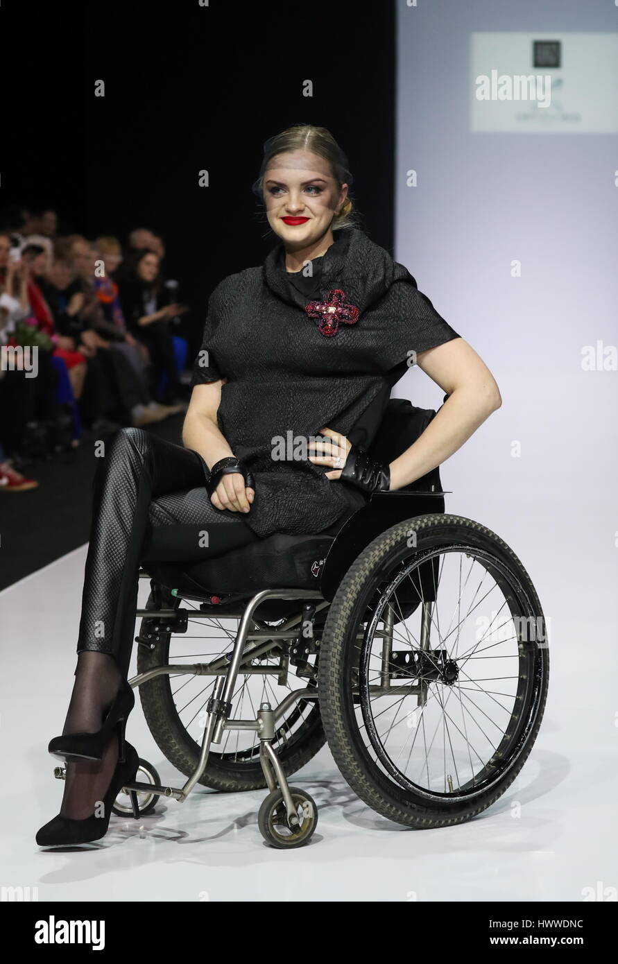 wheelchair model