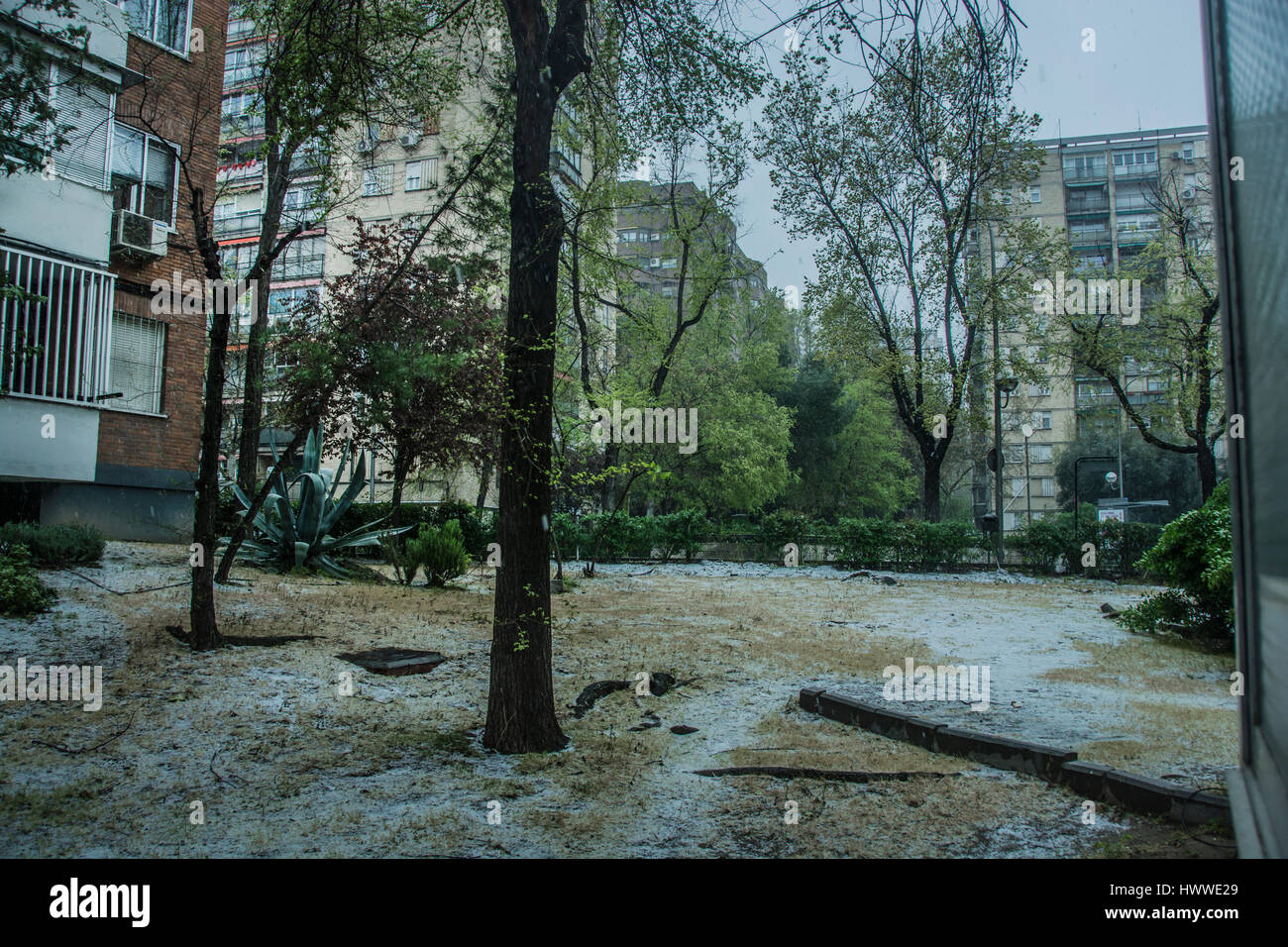 Madrid, Spain. 23rd Mar, 2017. Weird snow climate in Madrid, Spain after a flash spring Credit: Alberto Sibaja Ramírez/Alamy Live News Stock Photo