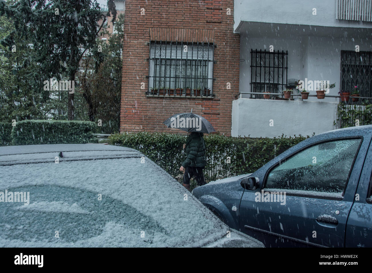 Madrid, Spain. 23rd Mar, 2017. Weird snow climate in Madrid, Spain after a flash spring Credit: Alberto Sibaja Ramírez/Alamy Live News Stock Photo