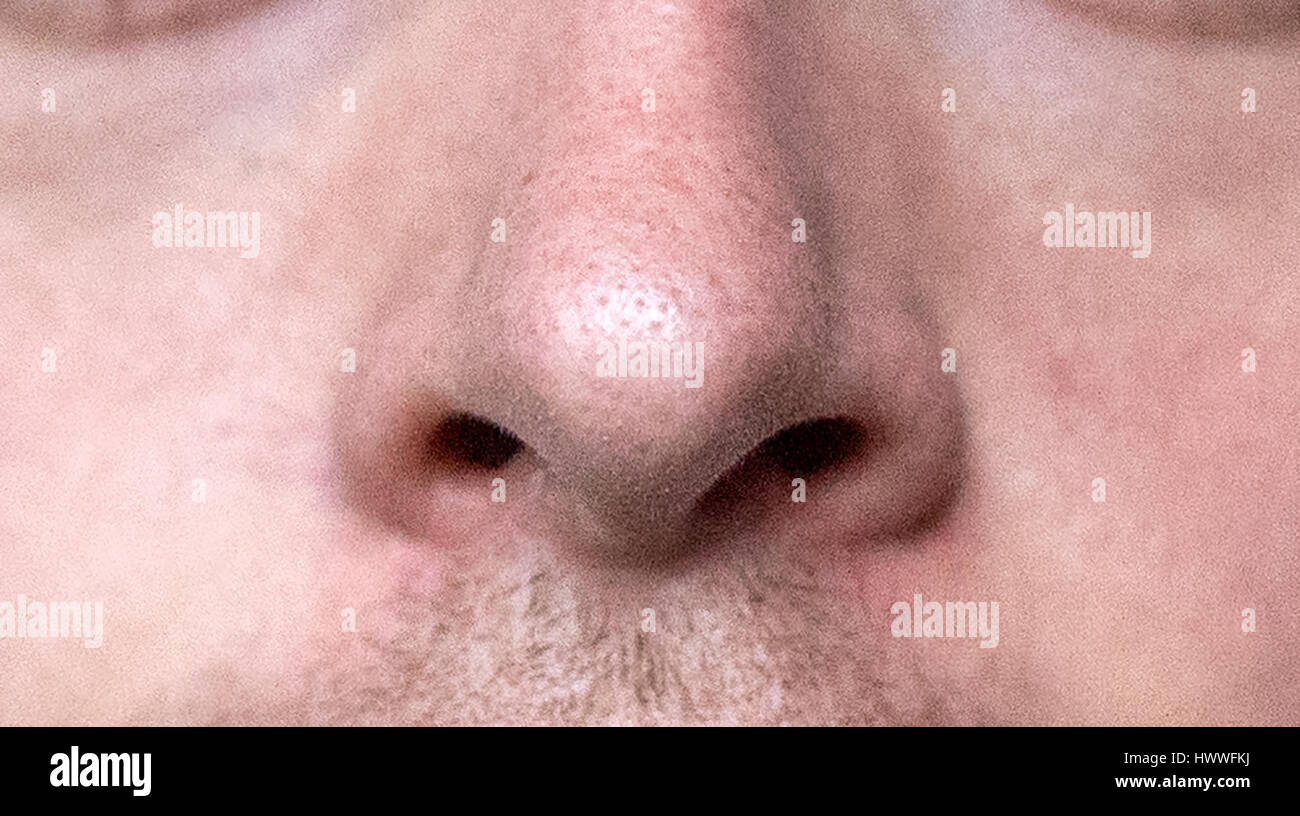 Munich, Germany. 15th Mar, 2017. The nose of a man of European descent