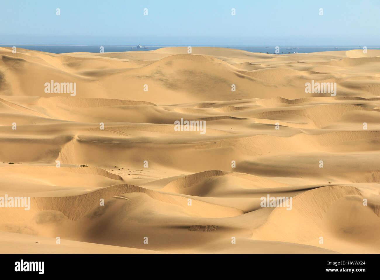 Sand dunes ocean hi-res stock photography and images - Alamy
