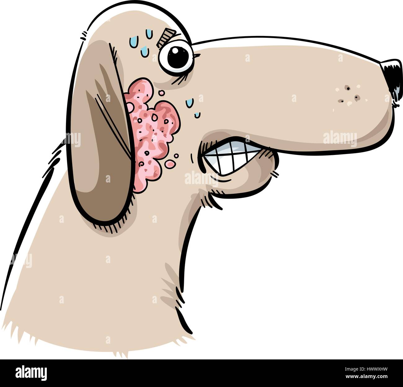 A cartoon dog with a hot spot infection rash under his ear. Stock Vector