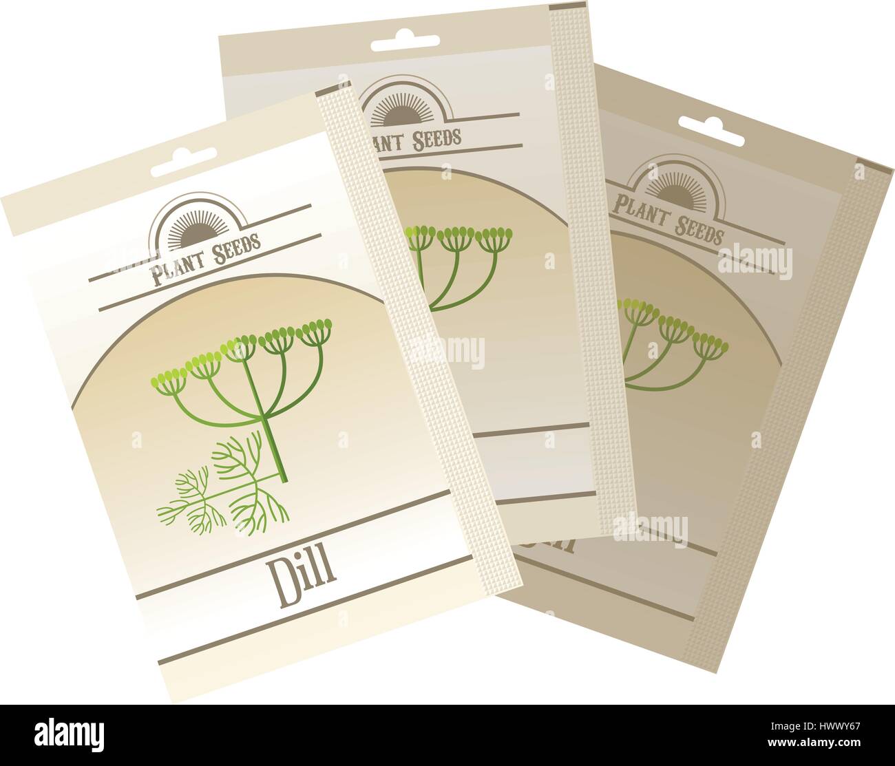 Pack of Dill seeds icon Stock Vector