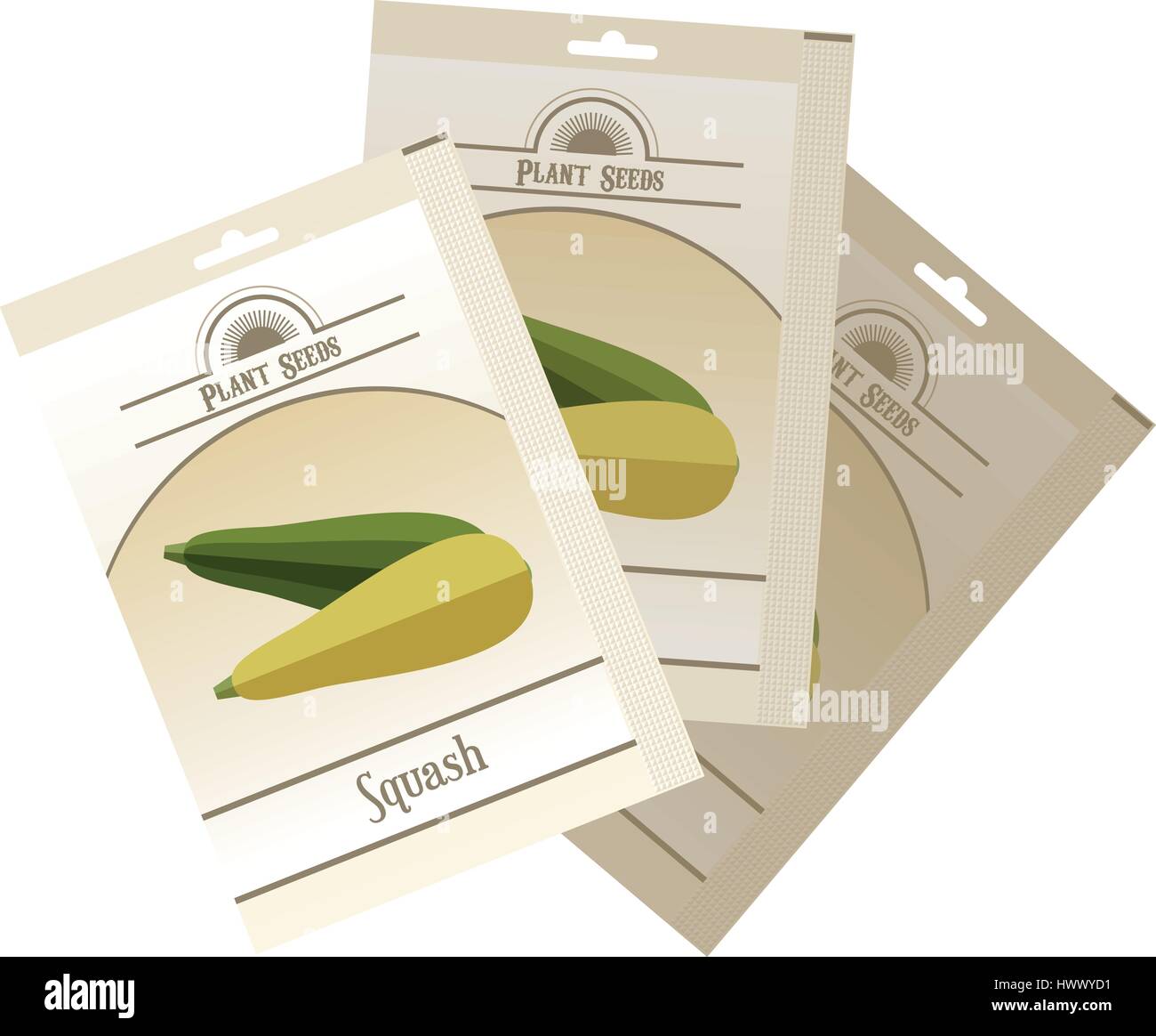Pack of Squash seeds icon Stock Vector