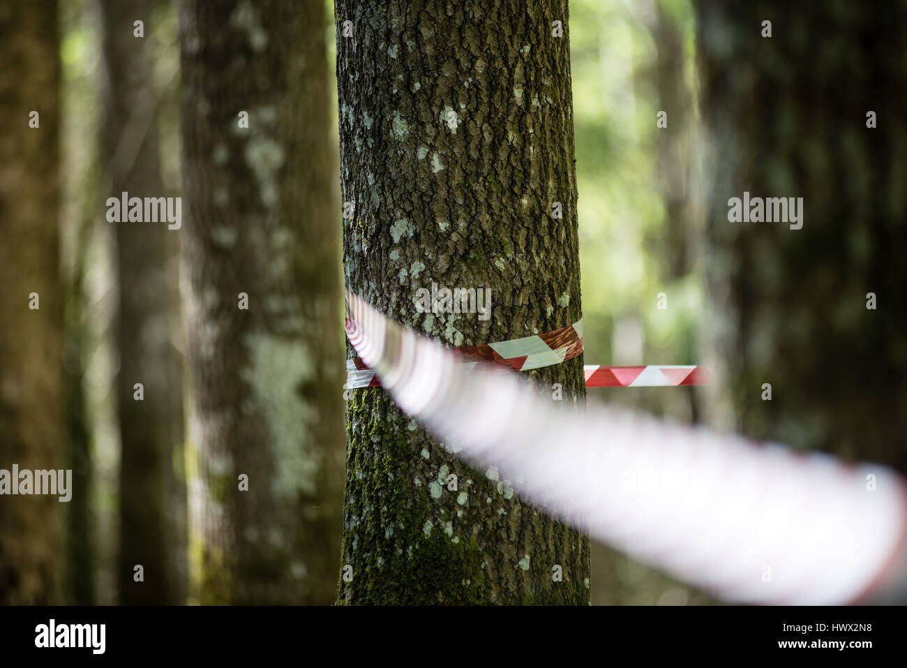 Rope mountings hires stock photography and images Alamy