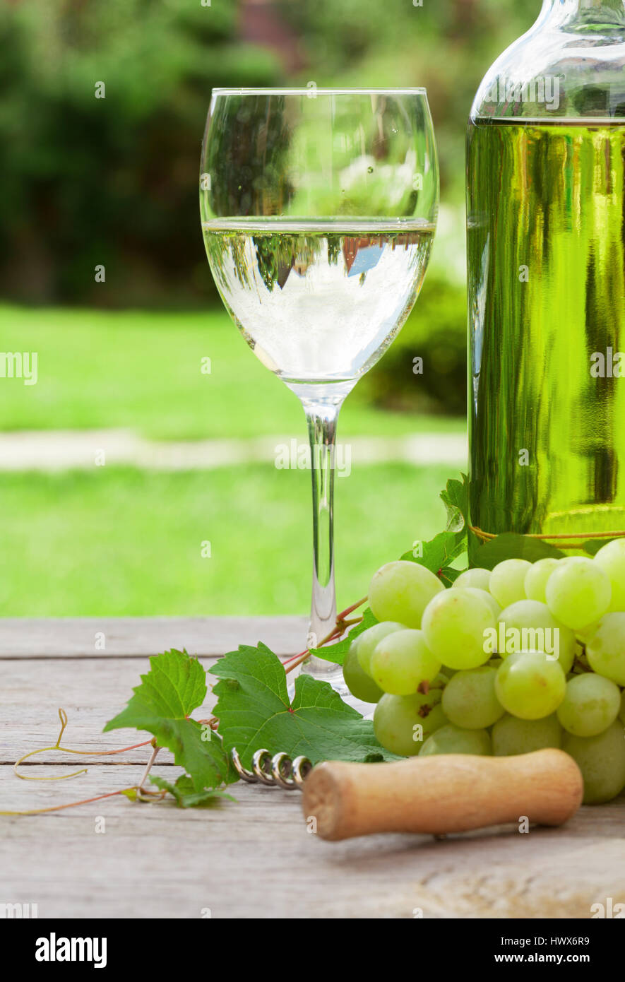White wine glass and bottle with bunch of grapes in sunny garden Stock ...